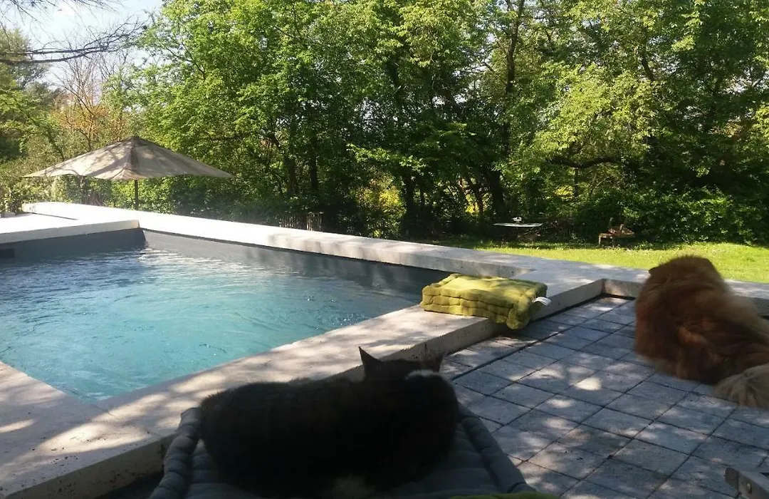 Le Mas Des Anges De Flo-1